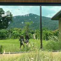 คาเฟ่เปิดใหม่ชลบุรี Shush เหมือนไปเขาใหญ่ 