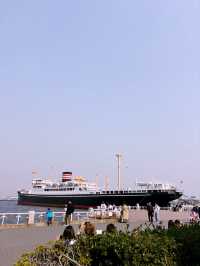 【桜が満開の横浜ニューグランドホテルと氷川丸、山下公園で春を迎えよう】