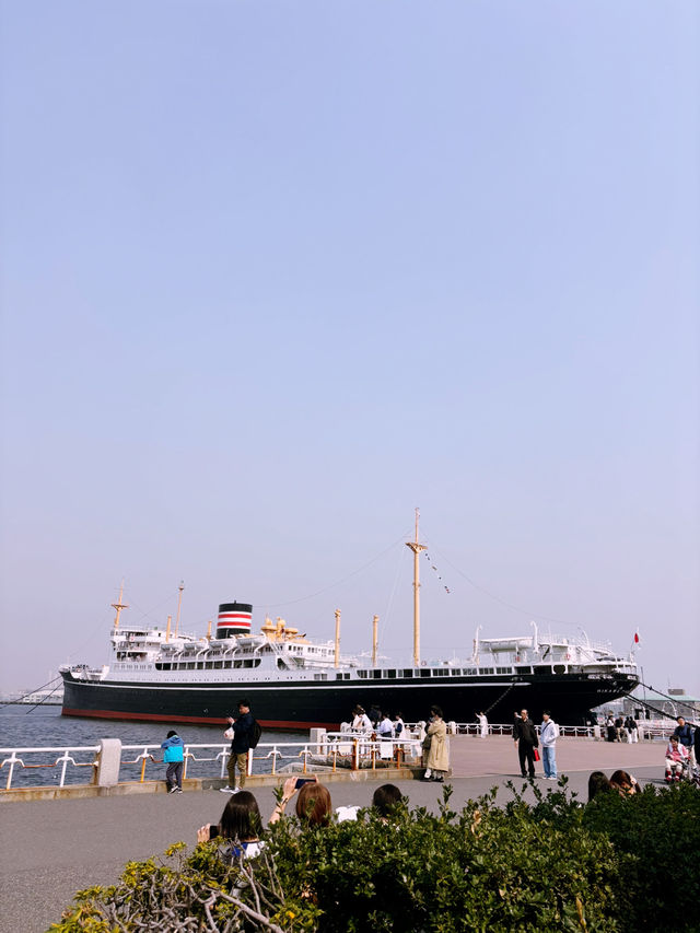 【桜が満開の横浜ニューグランドホテルと氷川丸、山下公園で春を迎えよう】