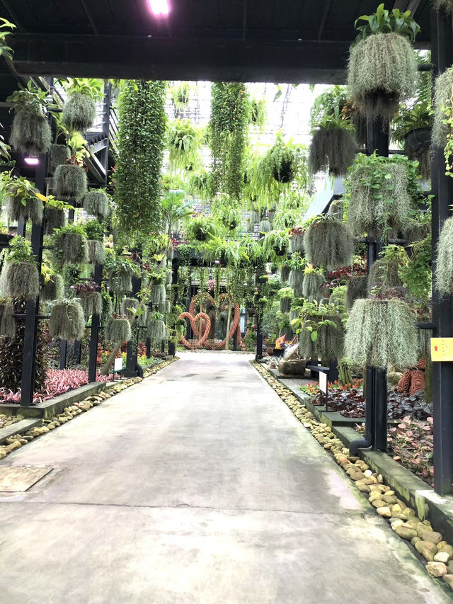 สวนนงนุช ที่เที่ยวพัทยาน่าไป