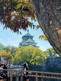 Japan: A Journey to Remember