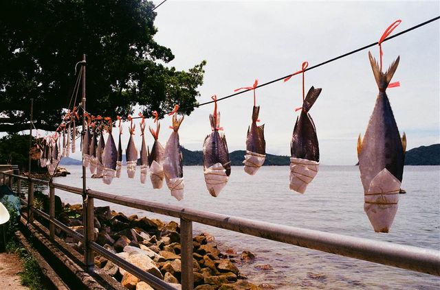 A Hub of Disappeared Industries in Peng Chau