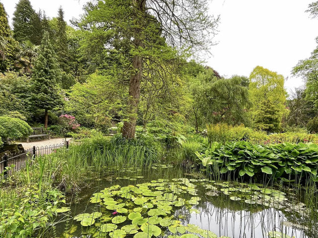 Fletcher Moss Botanical Gardens