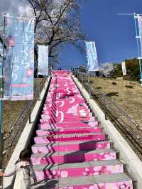 【京都】石清水八幡宮駅から行ける桜祭りは必見！