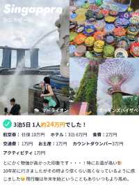 カップルで年越し🎉3泊5日のシンガポール旅費公開✨