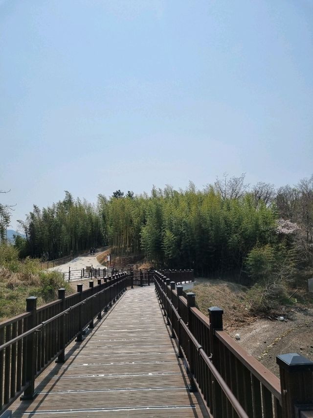 바다가 보이는 힐링 산책 명소, 씨릉섬🏝