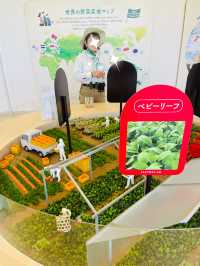 【長野県/富士見　カゴメ野菜生活ファーム工場を見学