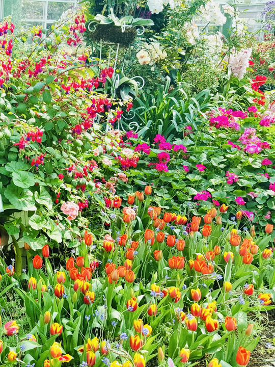 Exploring the Floral Wonders of Royal Park Rajapruek