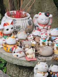 Flourist matchahouse Cafe | ปทุมธานี