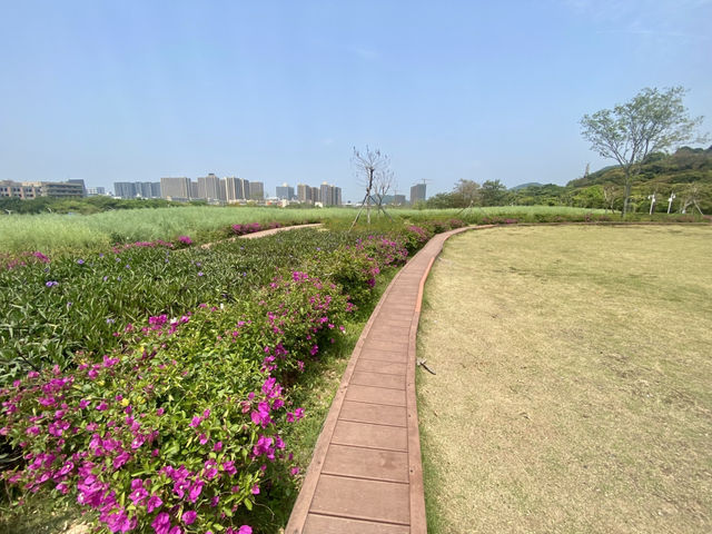 感受大自然的魅力⛰️✨鳳凰山森林公園🧗 