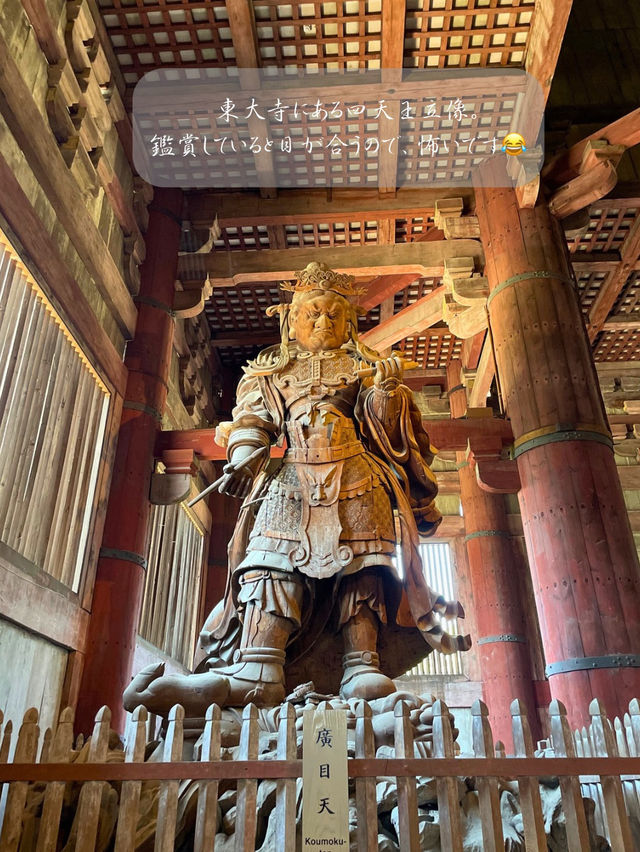 修学旅行の定番！奈良時代に造られた国宝✨奈良 東大寺