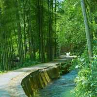 ～白水寨風景名勝區～山明水秀的自然～