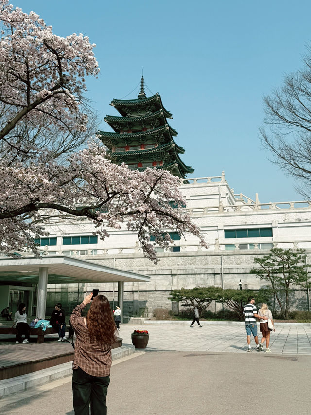 서울 명소로 가보세요!!
