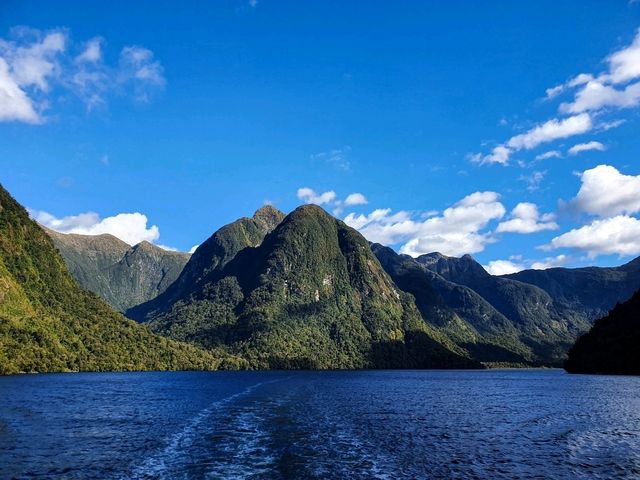 The Most Breathtaking Scenery I Found in New Zealand: Doubtful Sound🏞