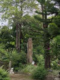 臺版吳哥窟#萬佛寺-臺南市楠西區