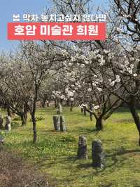 늦봄 나들이 막차🌸 용인 호암미술관 희원