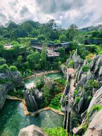 Into the Heart of the Jungle – Rainforest Wild Asia Adventure!