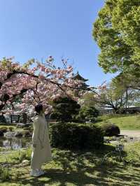 【長野】今だけ!!お城と桜の超穴場スポット