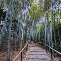Kyoto 4 Days Itinerary