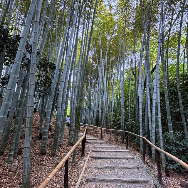 Kyoto 4 Days Itinerary