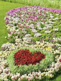 Yokohama’s Hidden Flower Paradise: Satoyama Garden 🌸🌼