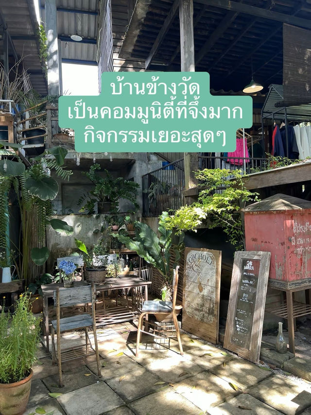 มัดรวมคาเฟ่เชียงใหม่ 