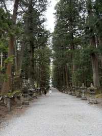 on the Way to Mt. Fuji