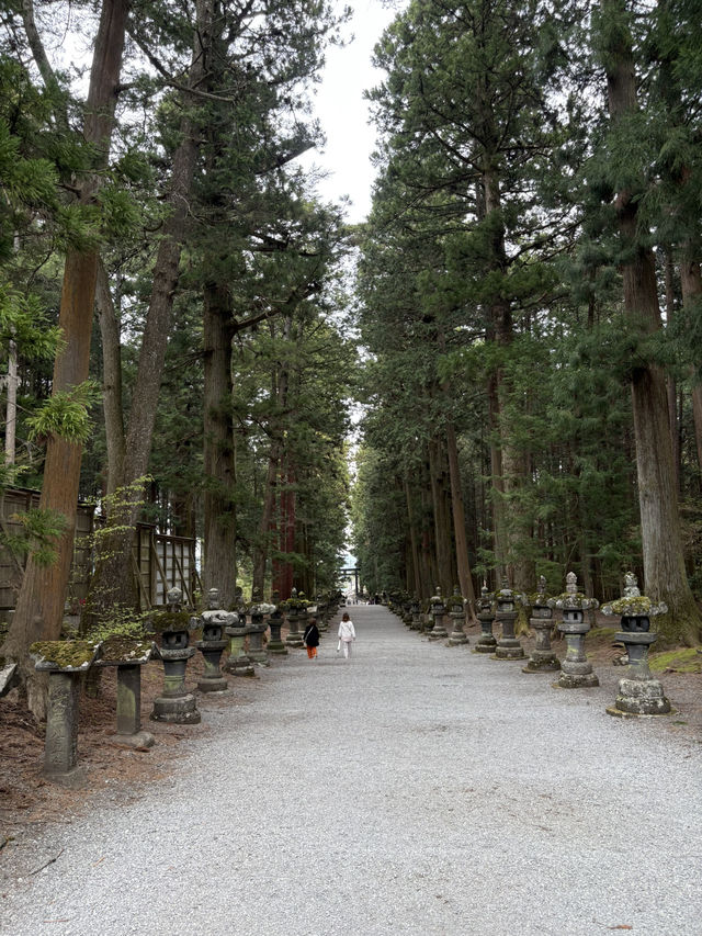 on the Way to Mt. Fuji
