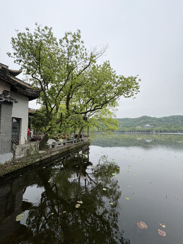 Don’t miss out this place if you are in Hangzhou! 