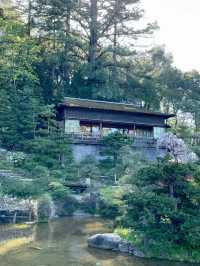 Hakone Garden: A Blossoming Symphony of Time