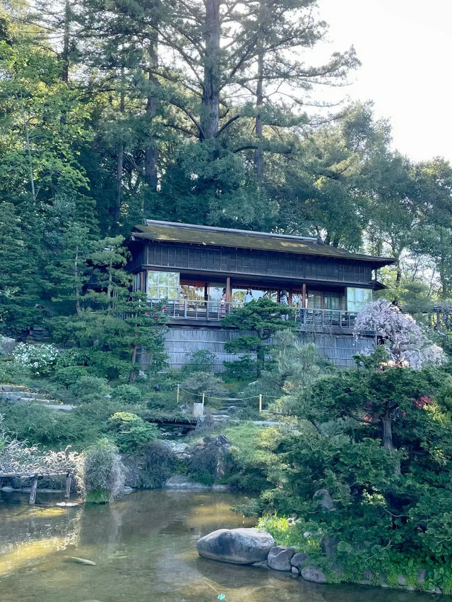 Hakone Garden: A Blossoming Symphony of Time