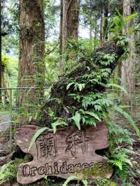 #福山植物園-新北市烏來區