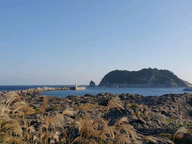 제주 새섬