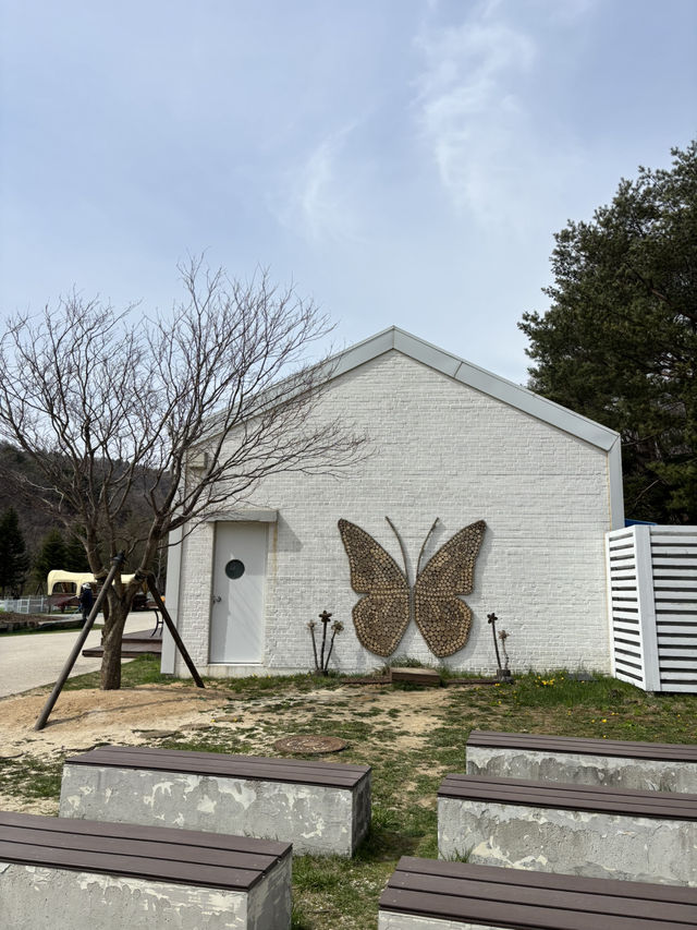 봄바람 쐬기 좋은 평창 대관령목장😃