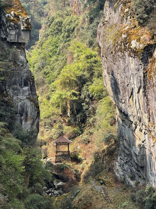 Floating into Spring: Riding the Cangshan Gantong Cable Car in Dali