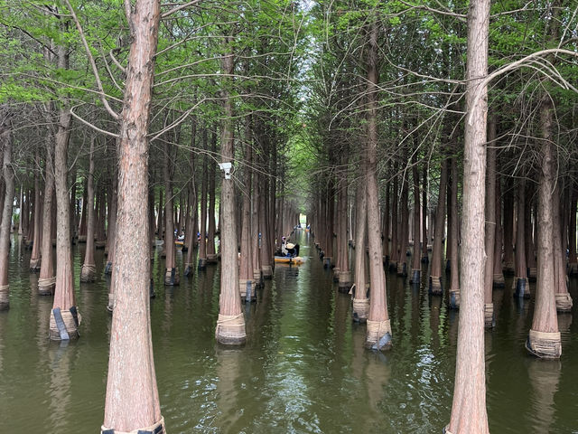 Haidong Wetland Park 