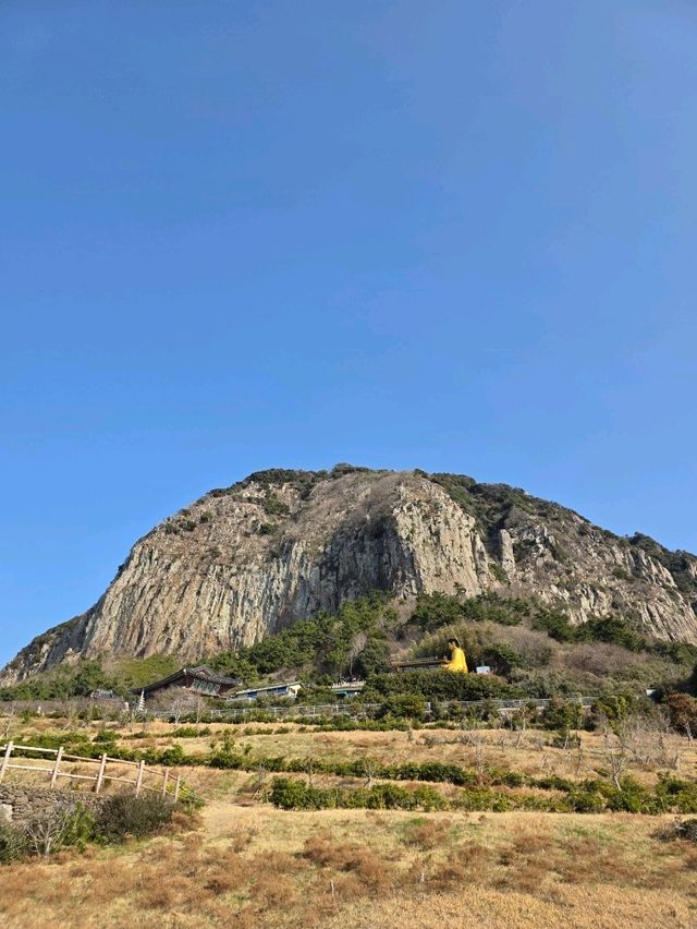 봄날 걷기 좋은 감성 한 잔의 공간