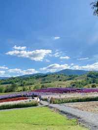 Floryday Khaoyai : Café & Flower
