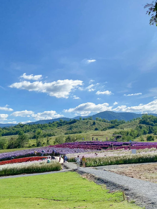 Floryday Khaoyai : Café & Flower
