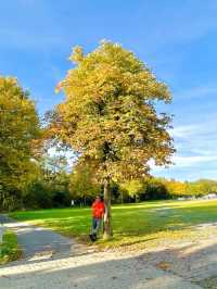 Wenden in Autumn: Where German Countryside Turns into a Golden Canvas