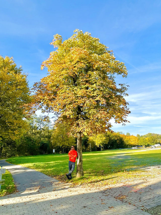 Wenden in Autumn: Where German Countryside Turns into a Golden Canvas