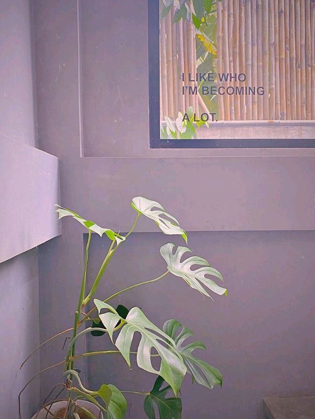 SATUJUNI.CO