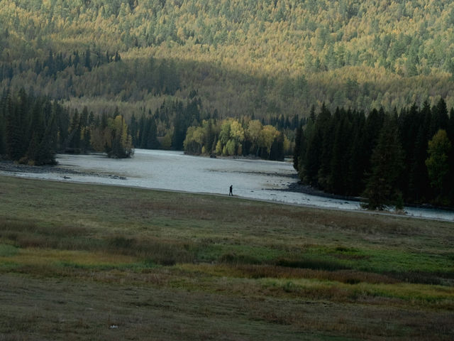 Xinjiang – Where Blossoms Whisper Through Ancient Valleys 