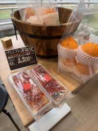 【福岡グルメ】季節のフルーツを使ったスイーツが食べられる行列ができるカフェ🍓