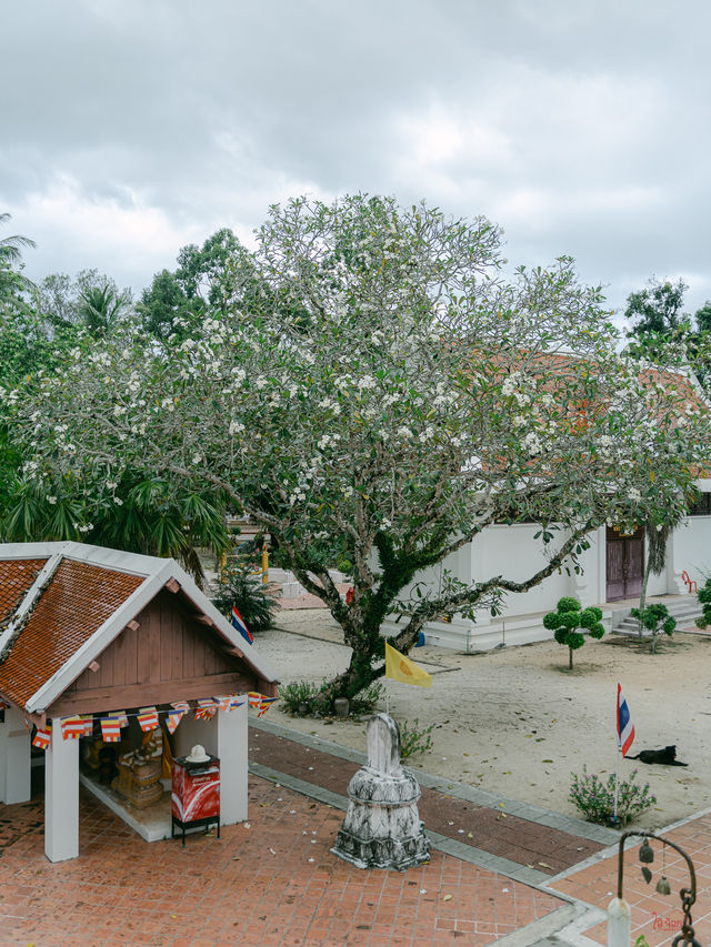 ราชินีแห่งพระเจดีย์ของภาคใต้ วัดเขียนบางแก้วพัทลุง