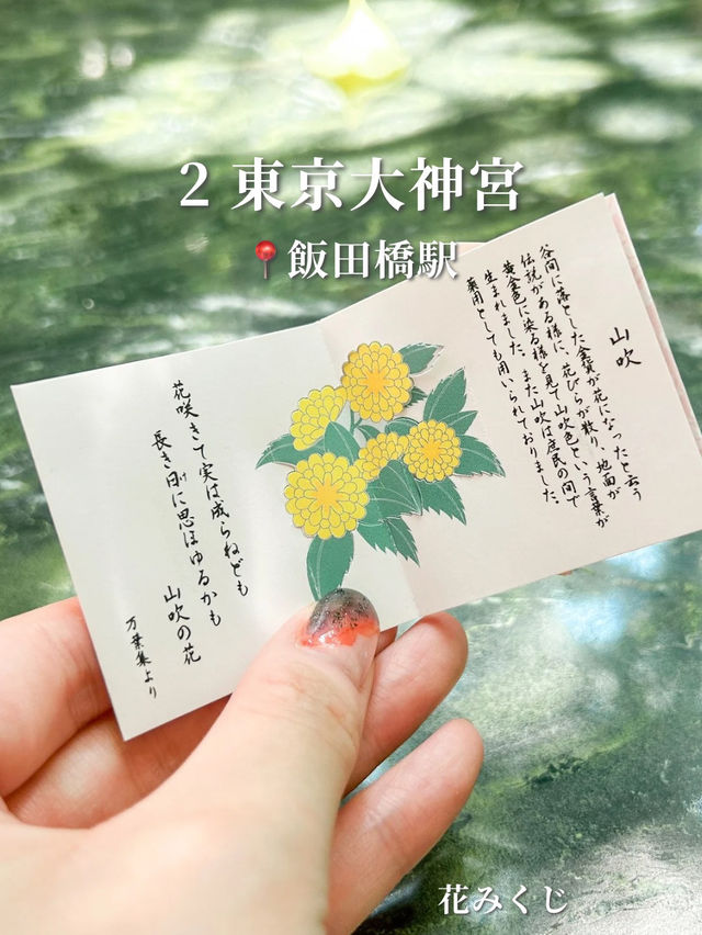 東京都内のおみくじがかわいい神社3選⛩️