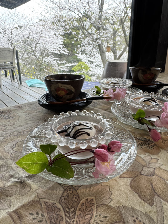 【福岡グルメ】窓からの季節ごとの景色を楽しみながらランチが食べられるお店🍽