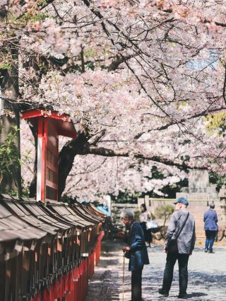 Pilgrimage to Naritasan Fudoson in Neyagawa
