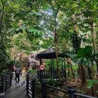 The KLIA Jungle Boardwalk