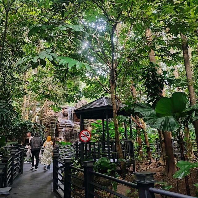 The KLIA Jungle Boardwalk The KLIA Jungle Boardwalk